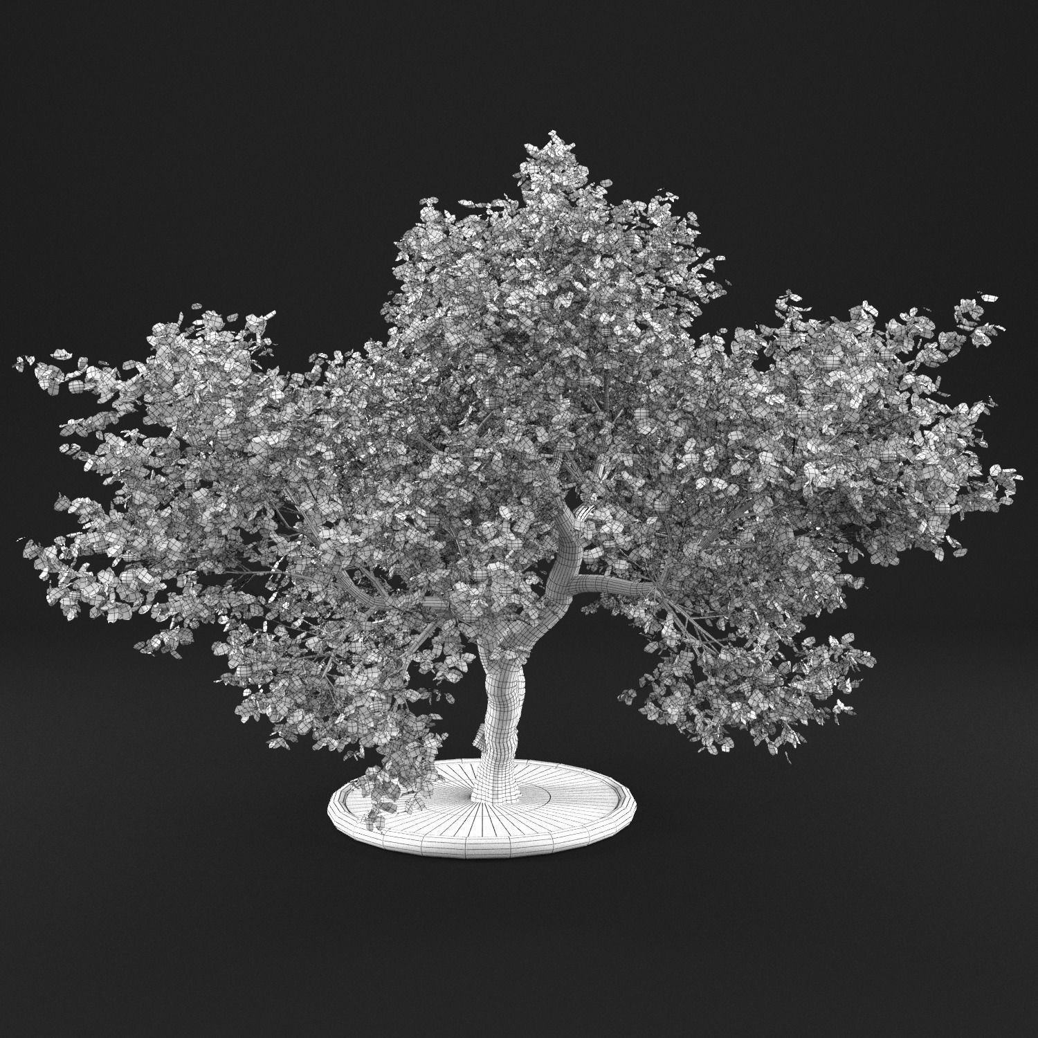 Apple Tree with Leaves 3D model_9