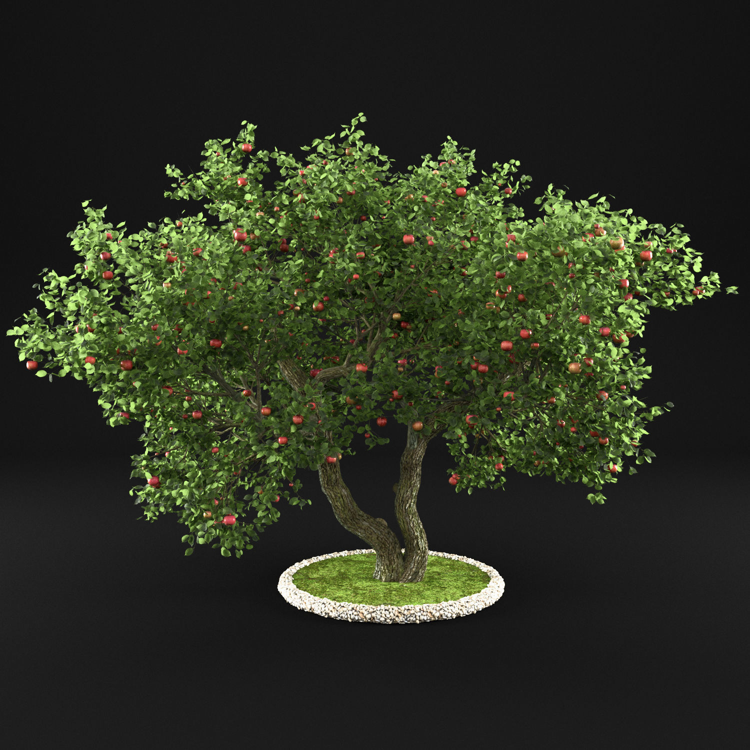 Apple Tree with Leaves 3D model_3