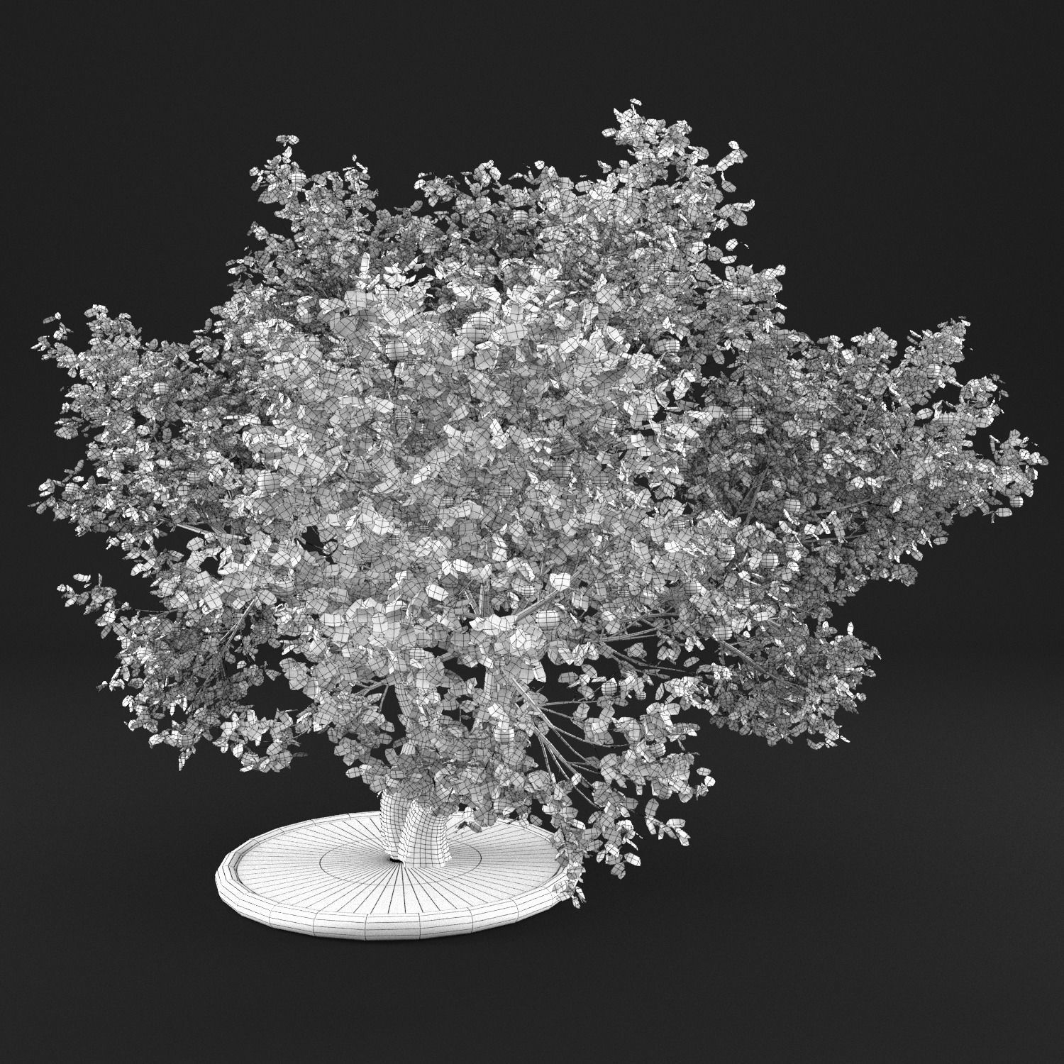 Apple Tree with Leaves 3D model_11
