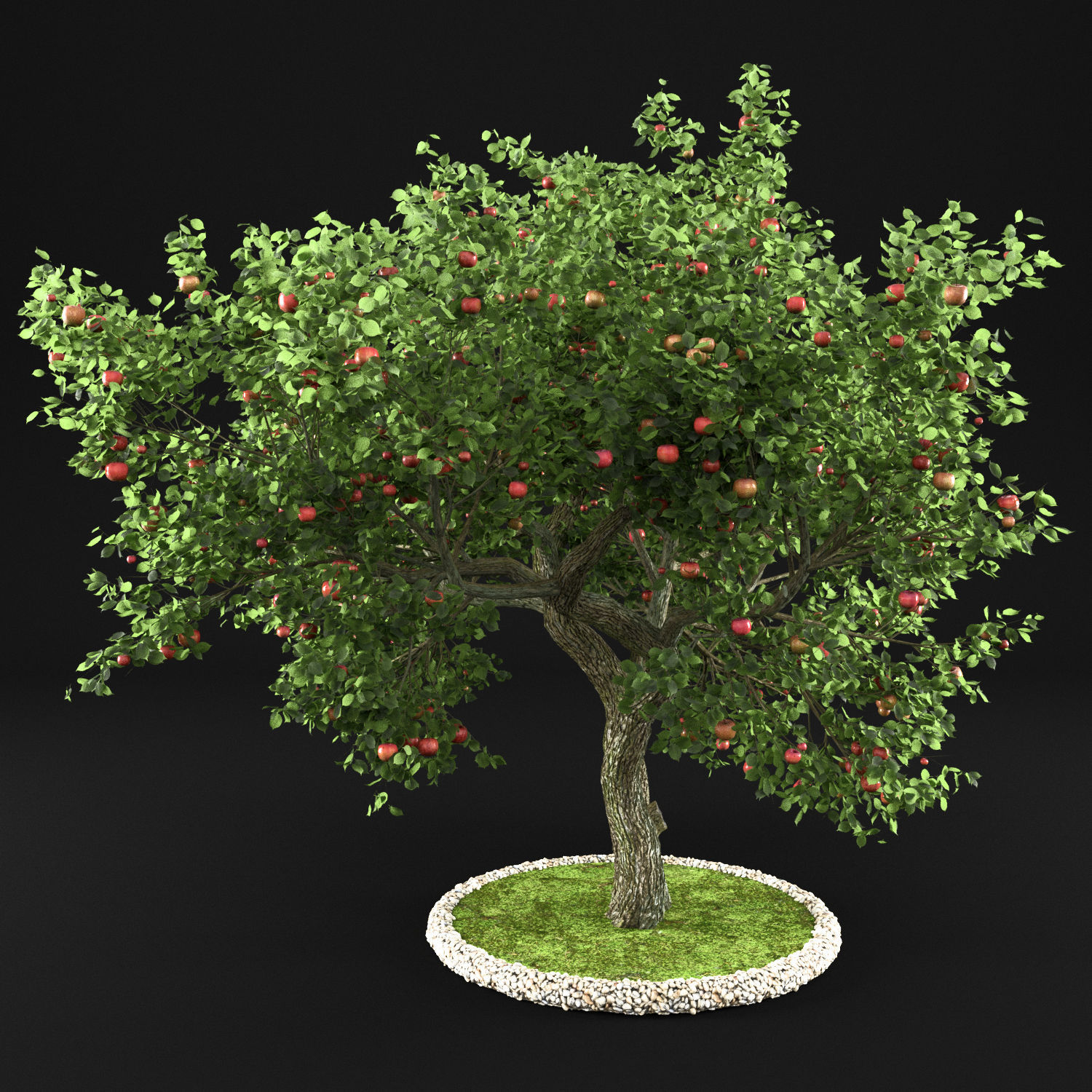 Apple Tree with Leaves 3D model_5