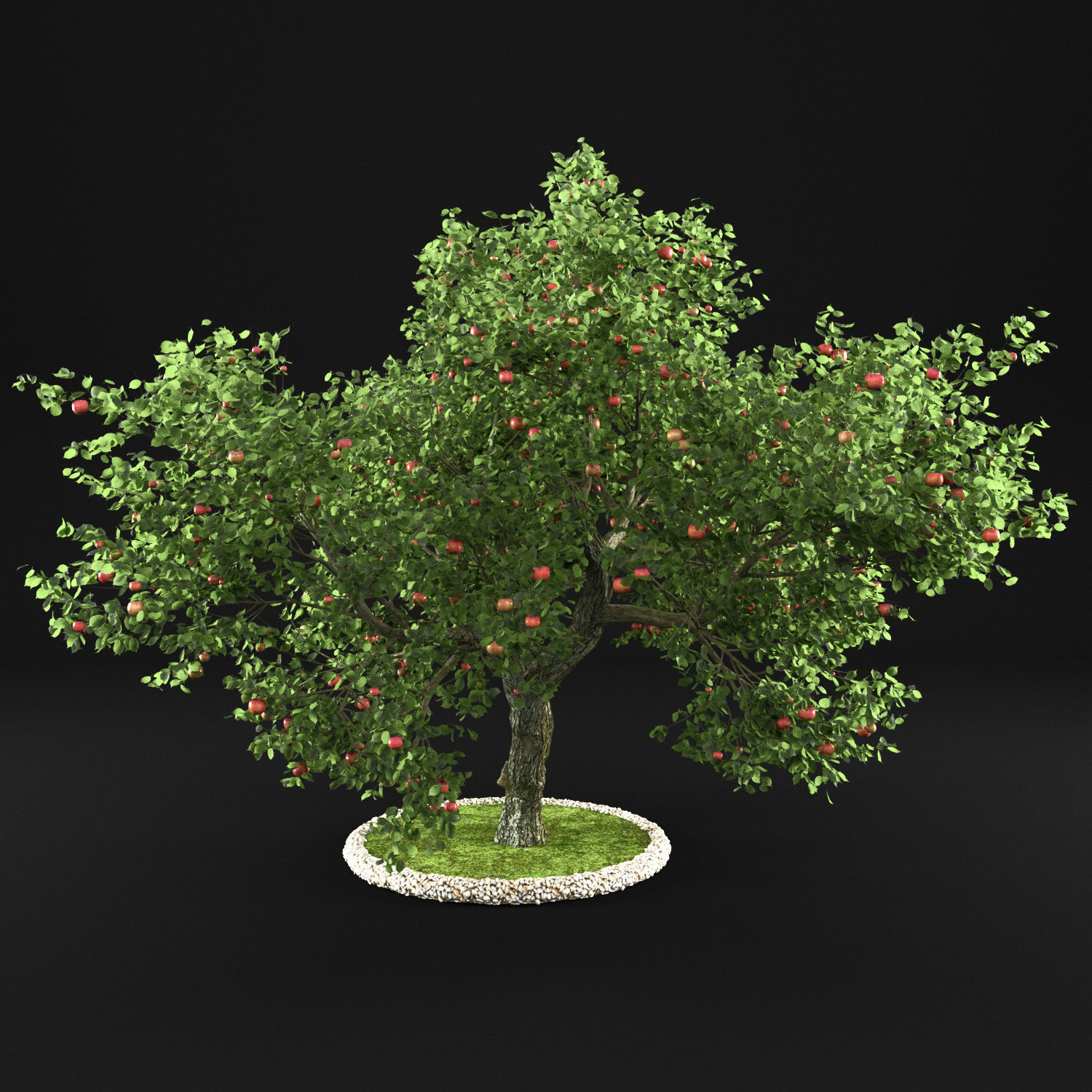 Apple Tree with Leaves 3D model_1