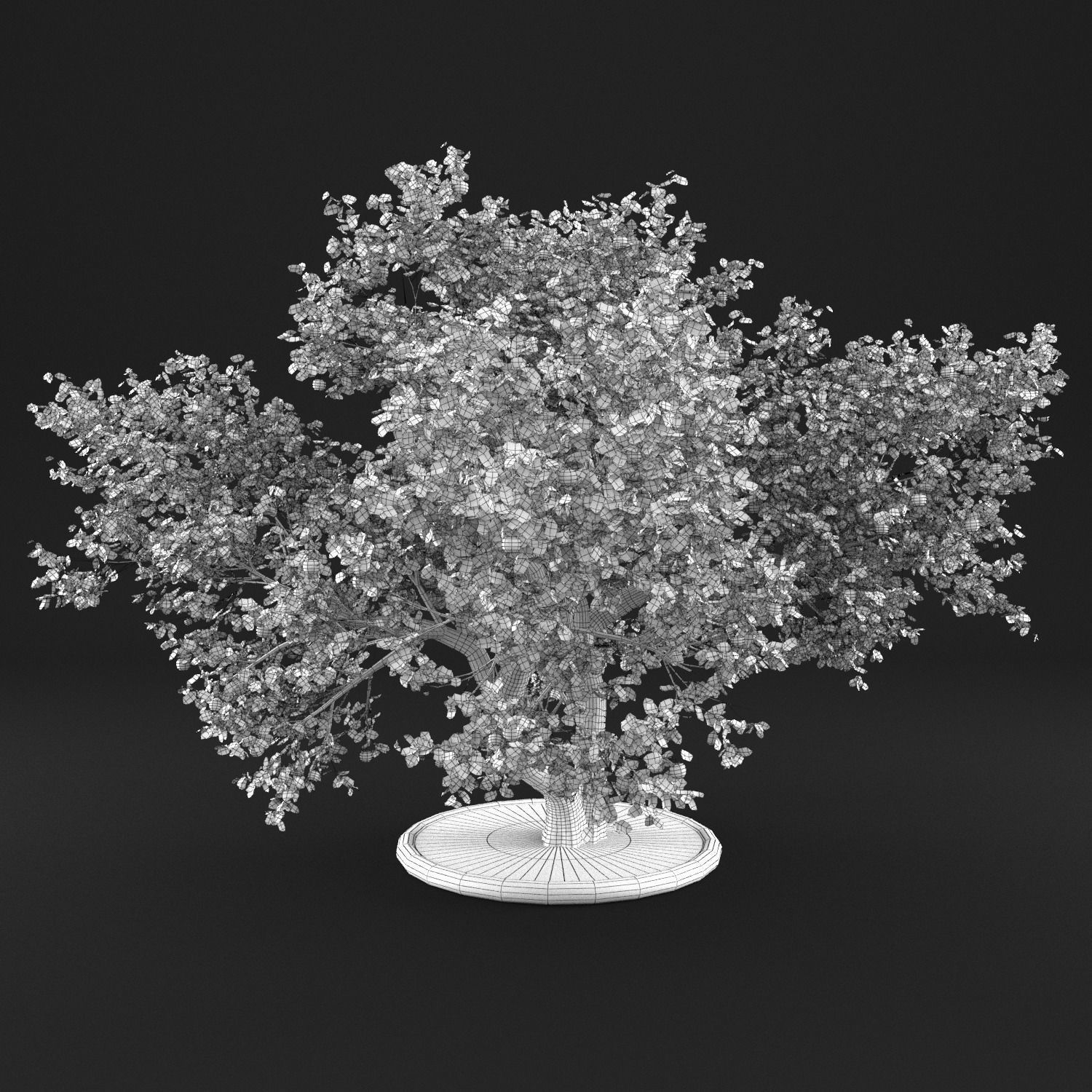 Apple Tree with Leaves 3D model_8