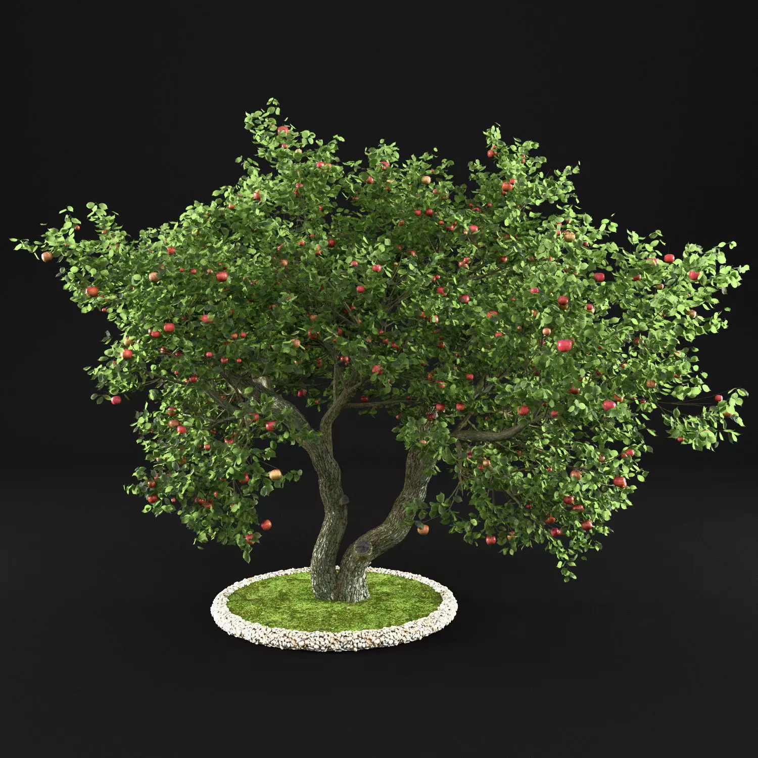 Apple Tree with Leaves 3D model_0