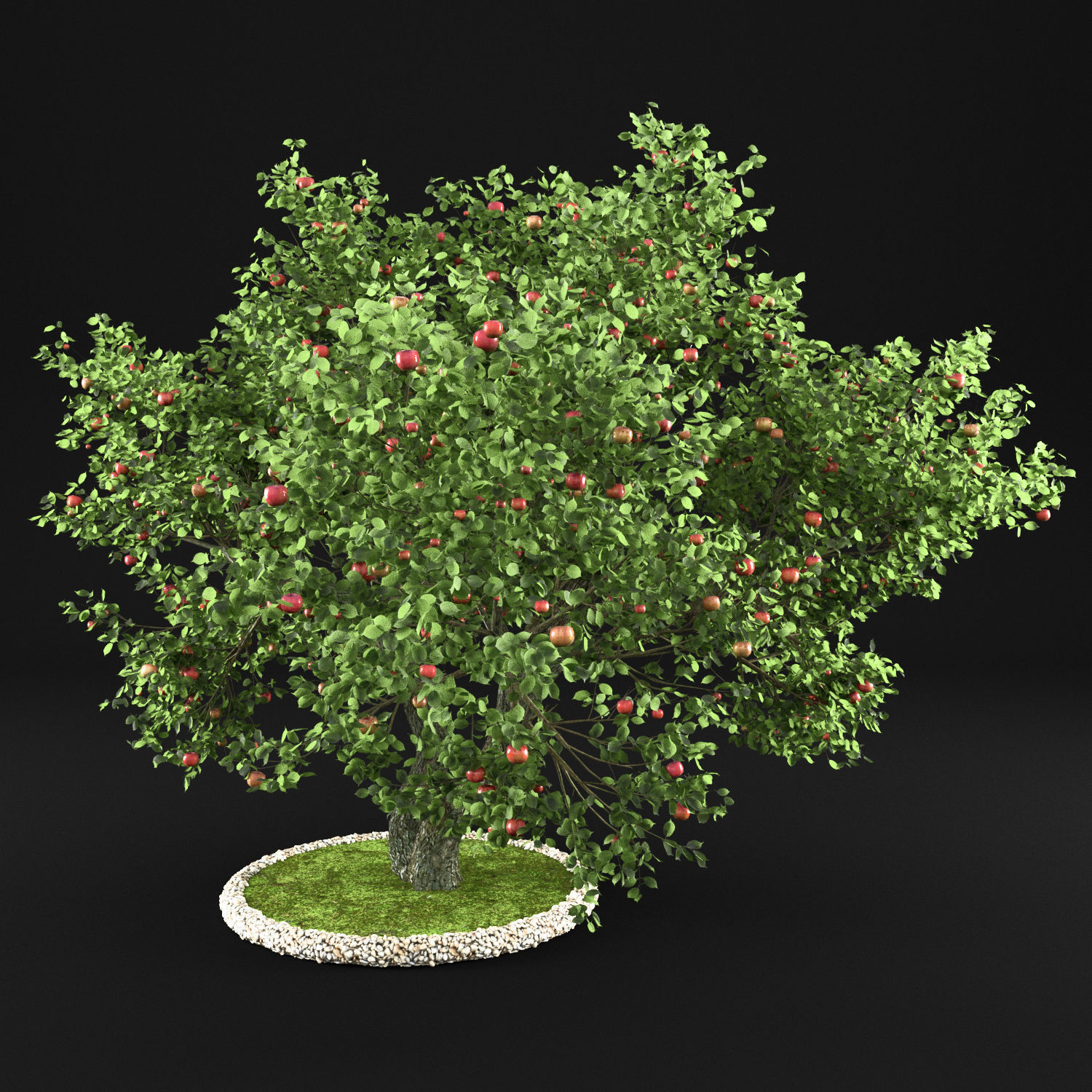 Apple Tree with Leaves 3D model_2