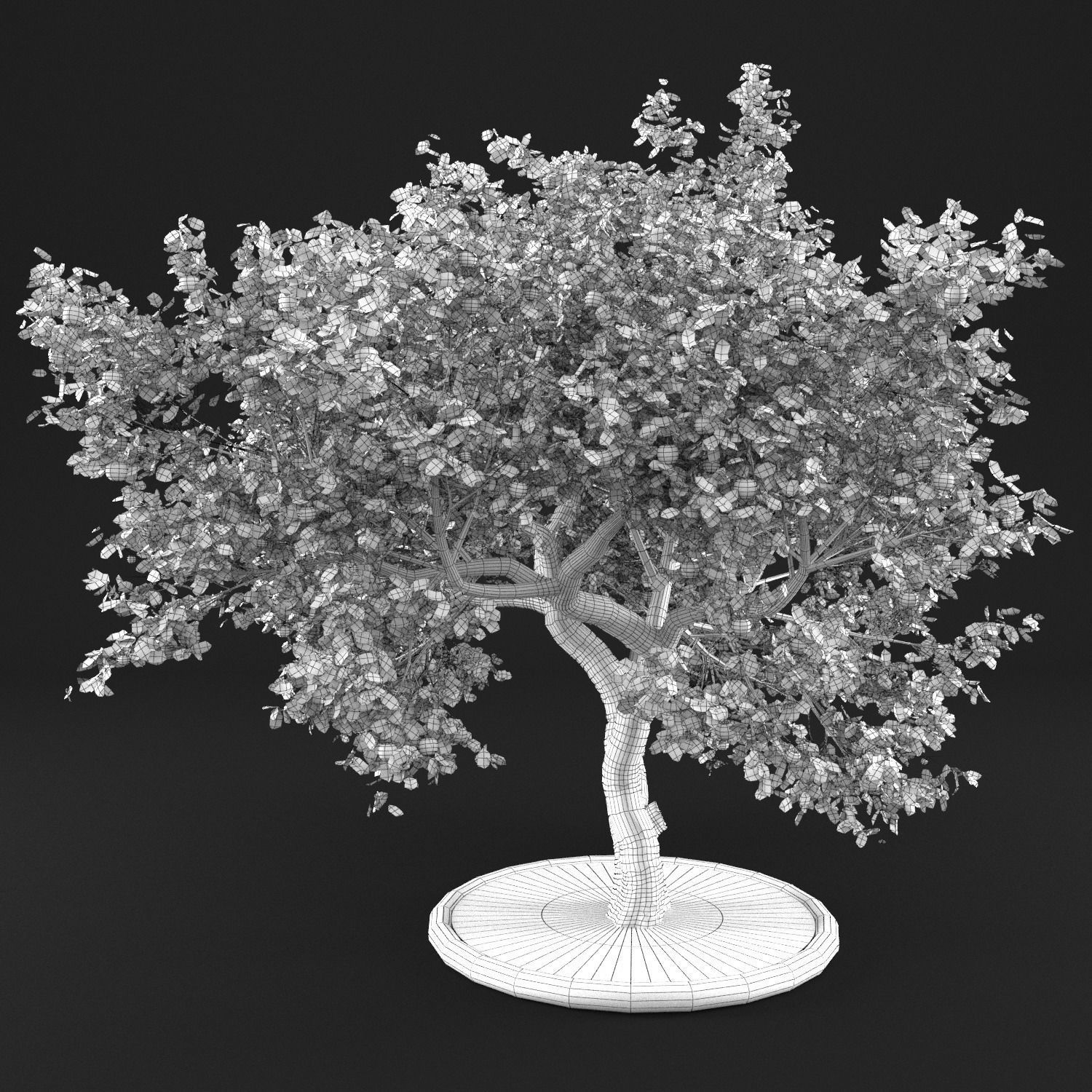 Apple Tree with Leaves 3D model_15