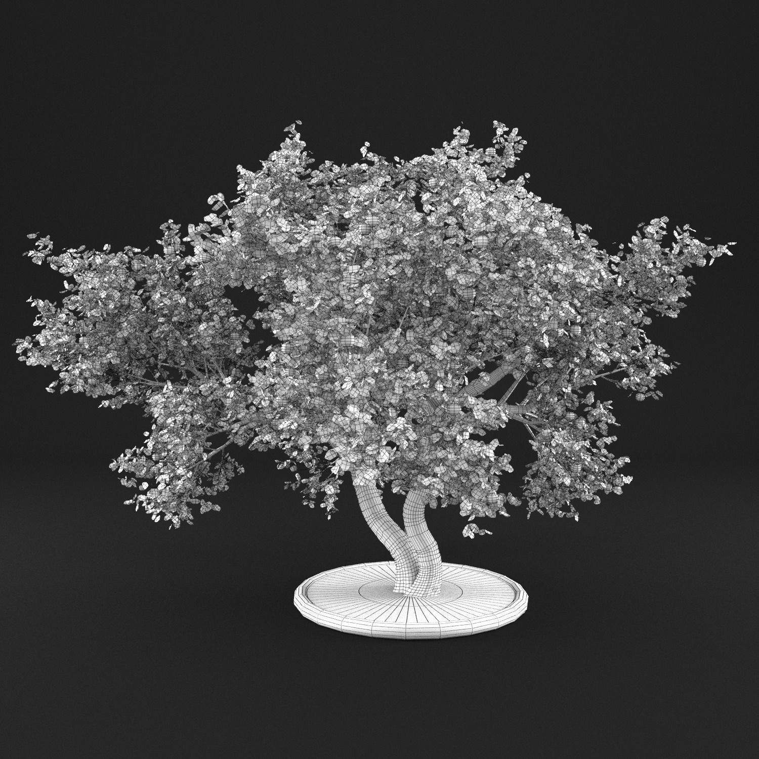 Apple Tree with Leaves 3D model_12