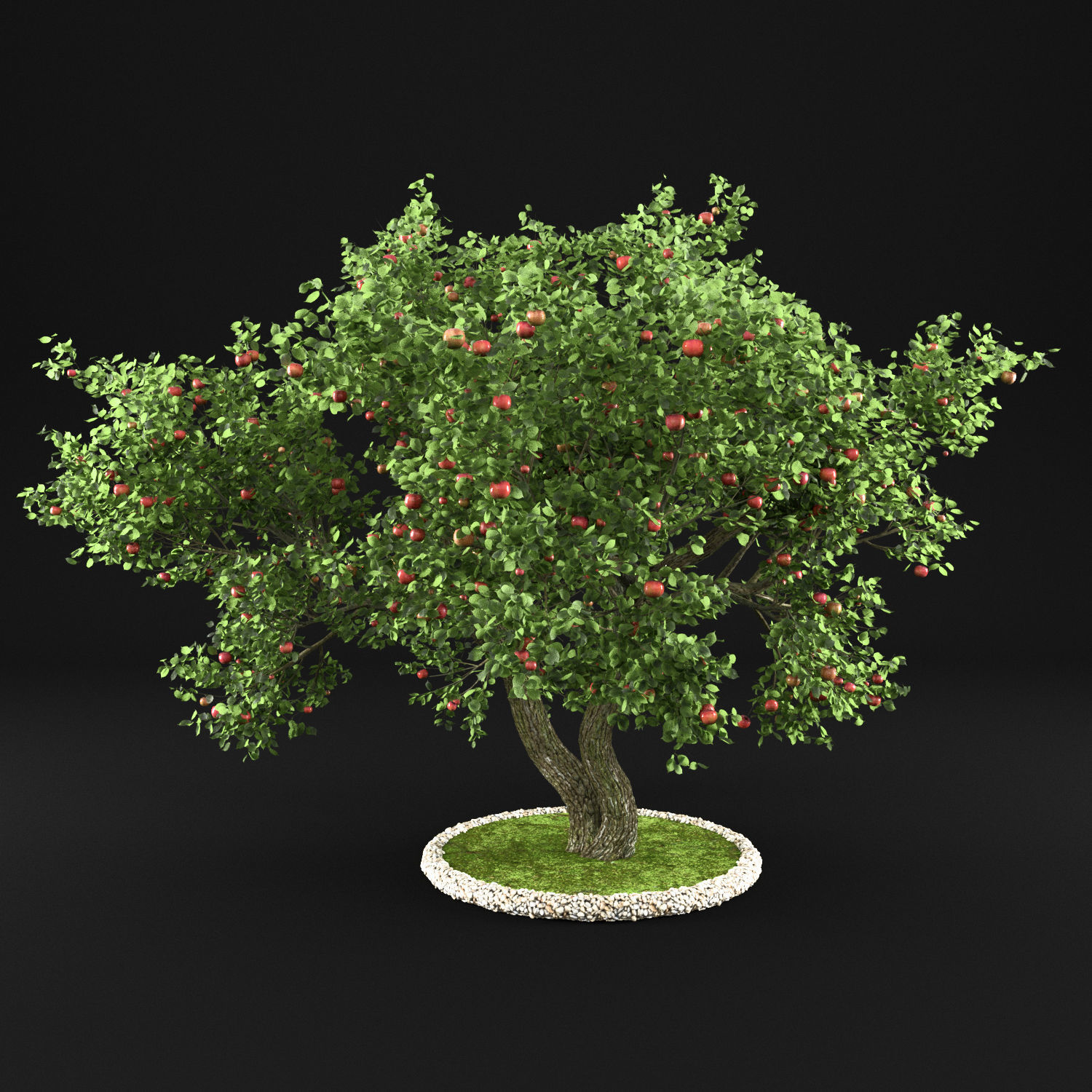Apple Tree with Leaves 3D model_6