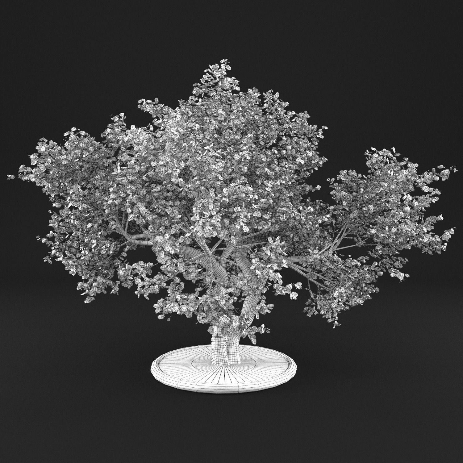 Apple Tree with Leaves 3D model_14