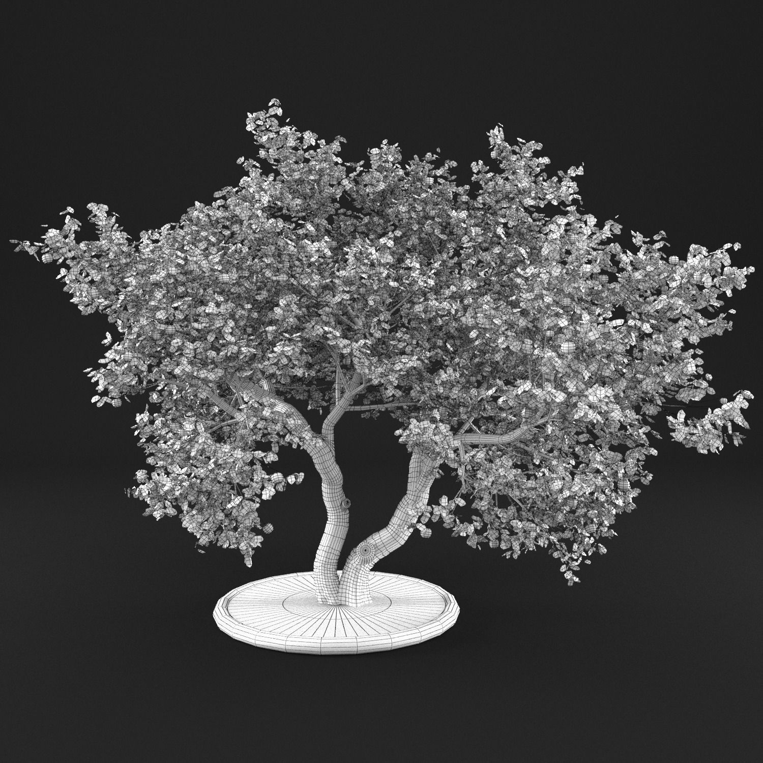 Apple Tree with Leaves 3D model_7