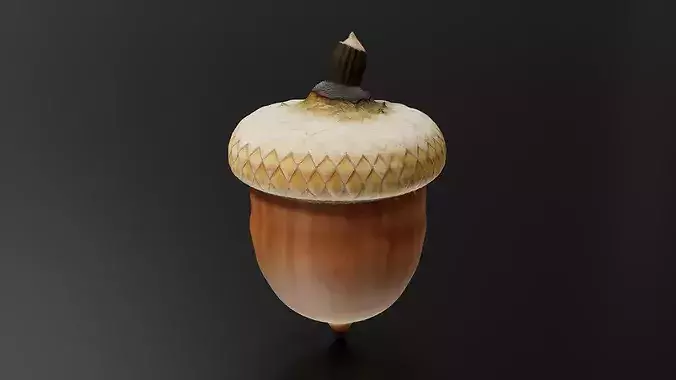 Oak fruit 3D print model 4