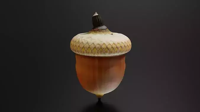 Oak fruit 3D print model 2