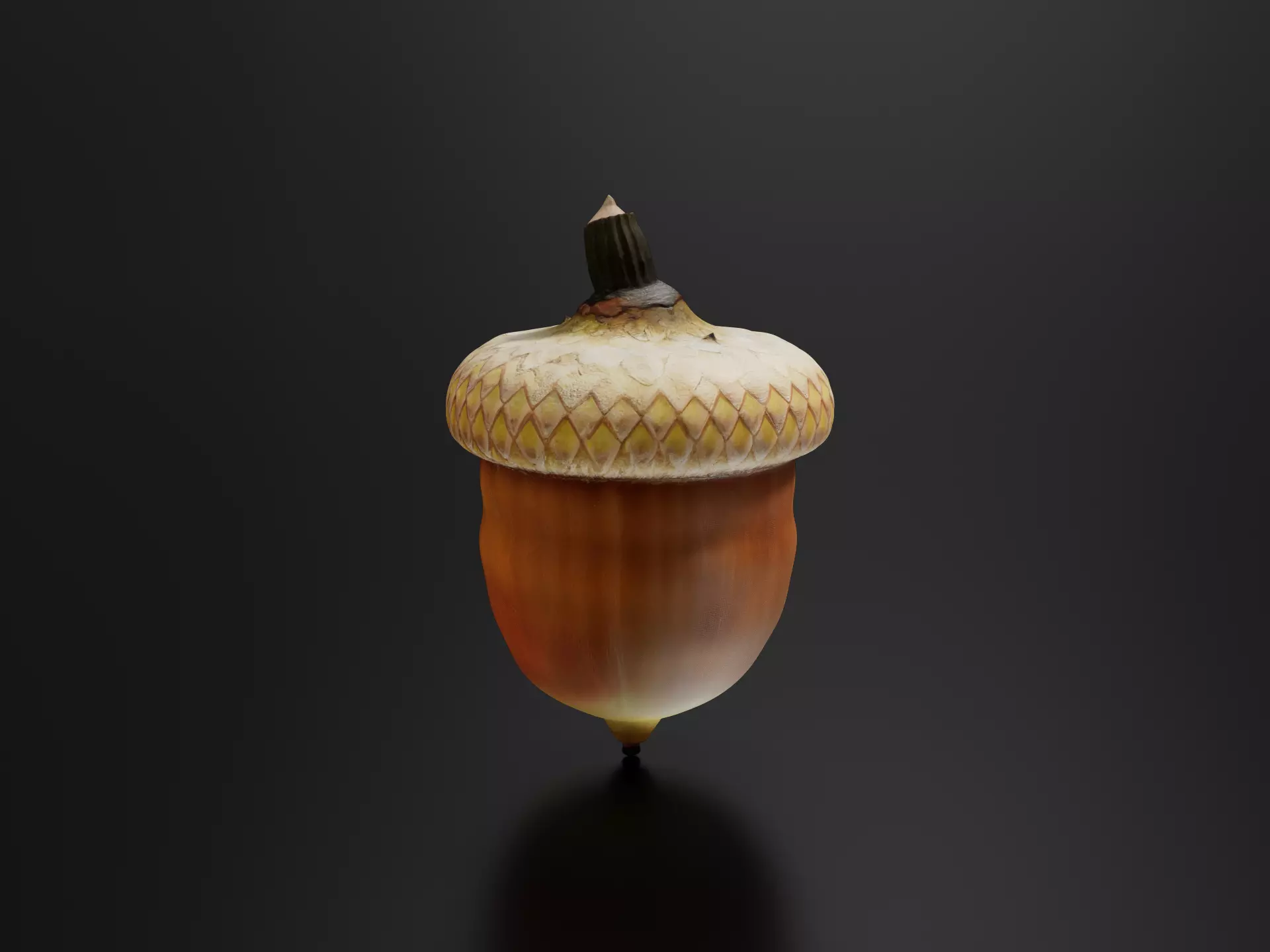 Oak fruit 3D print model
