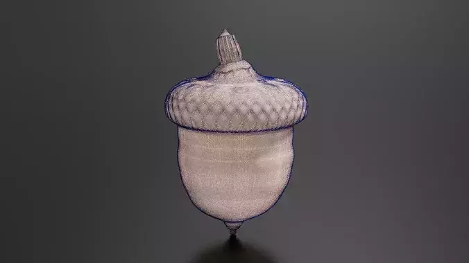 Oak fruit 3D print model 7