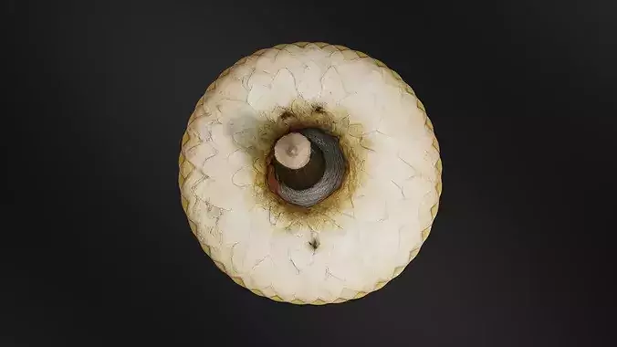 Oak fruit 3D print model 6