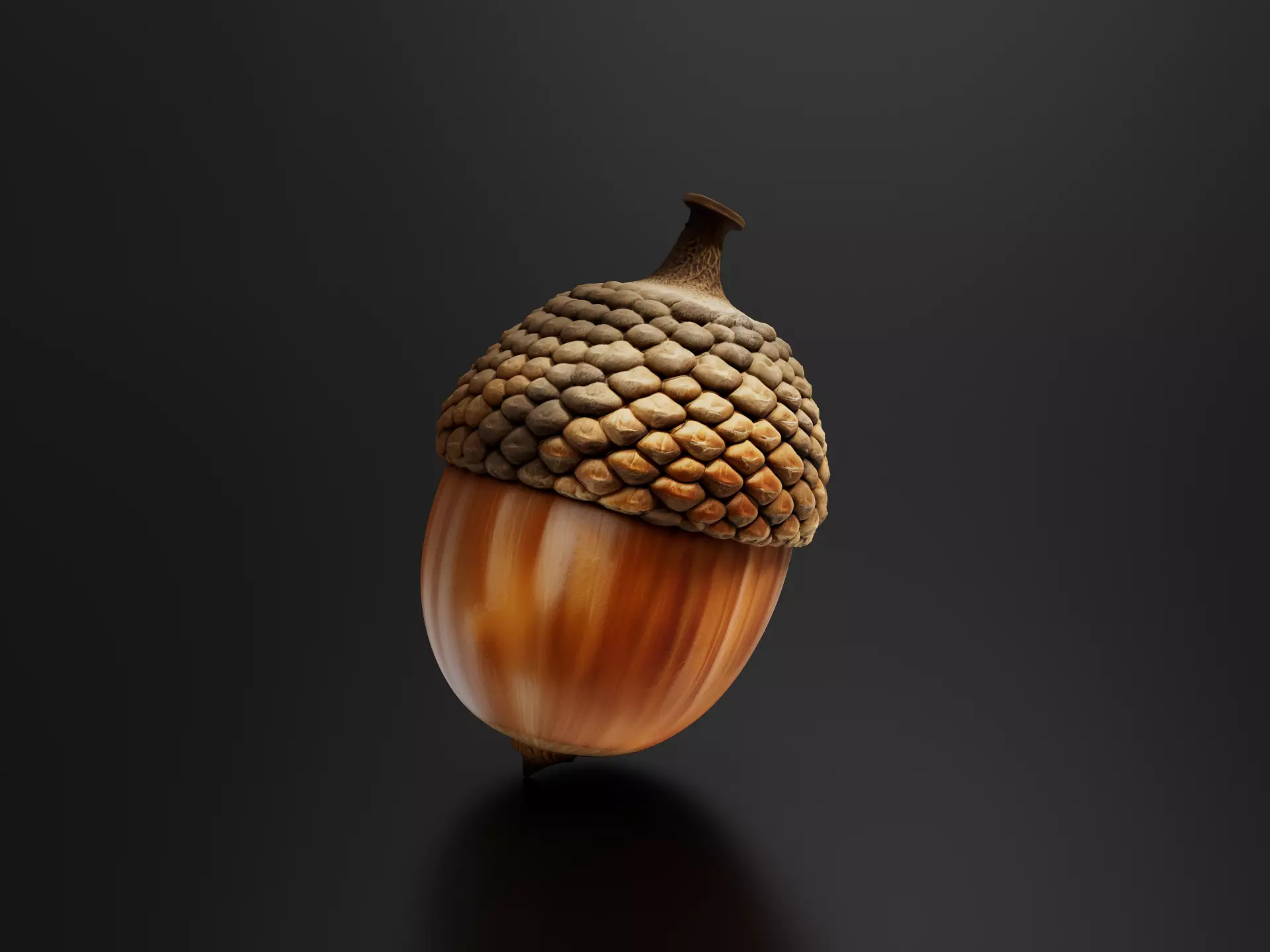 Oak fruit 1 3D print model