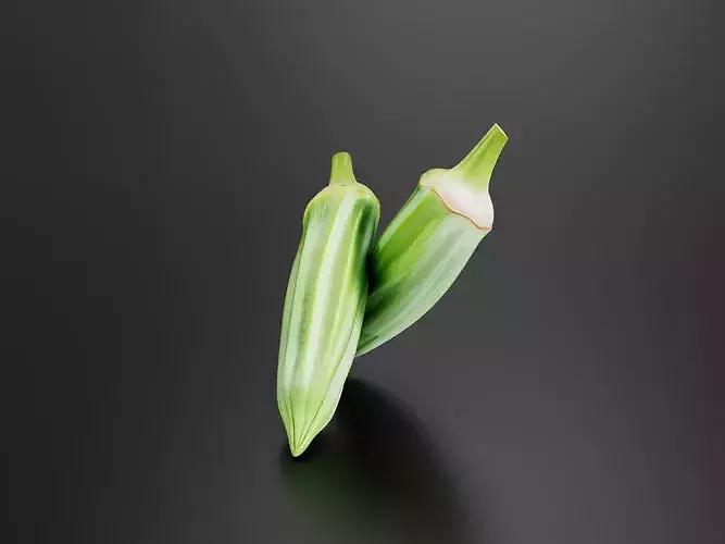 Okra 01 3D print model