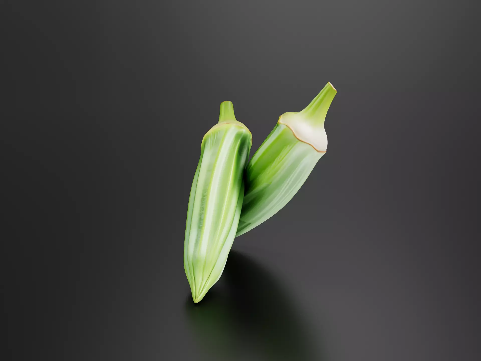 Okra 01 3D print model