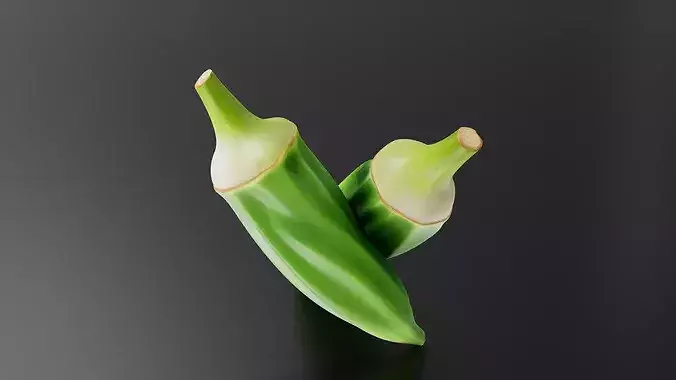 Okra 01 3D print model 4