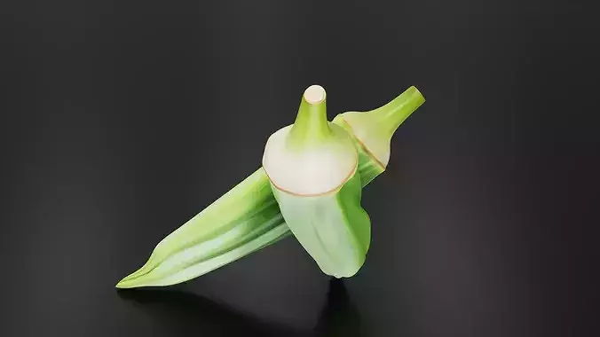 Okra 01 3D print model 3
