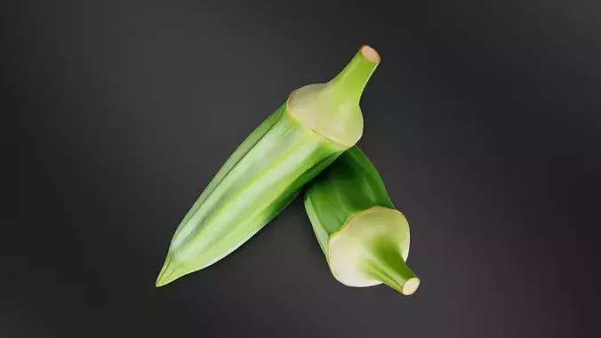 Okra 01 3D print model 6