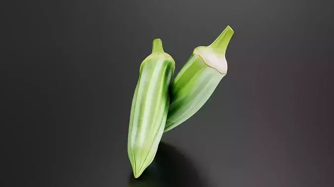 Okra 01 3D print model 2