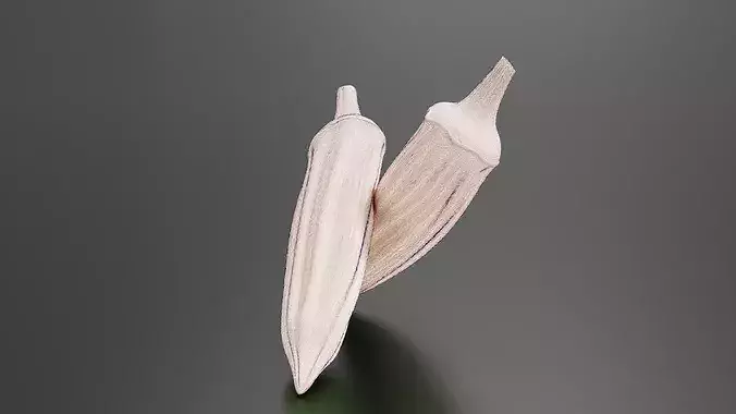 Okra 01 3D print model 7