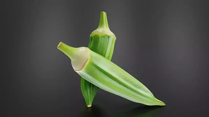 Okra 01 3D print model 5