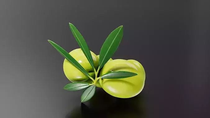 Olive 01 3D print model 4