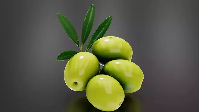 Olive 01 3D print model 5
