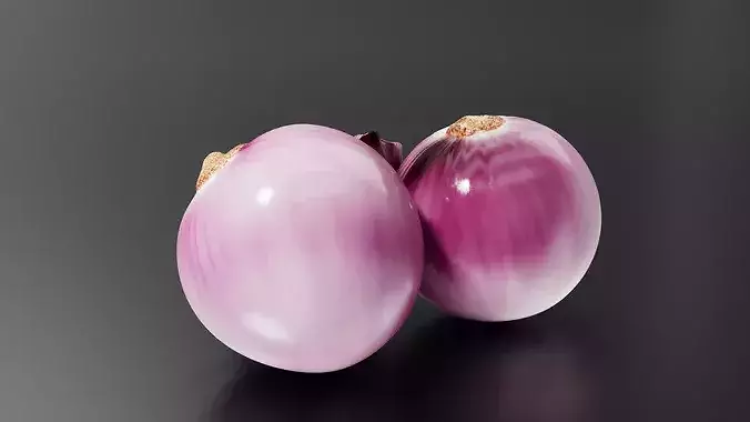 Onion 01 3D print model 4