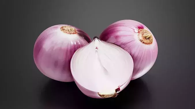 Onion 01 3D print model 2