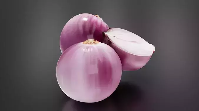 Onion 01 3D print model 5