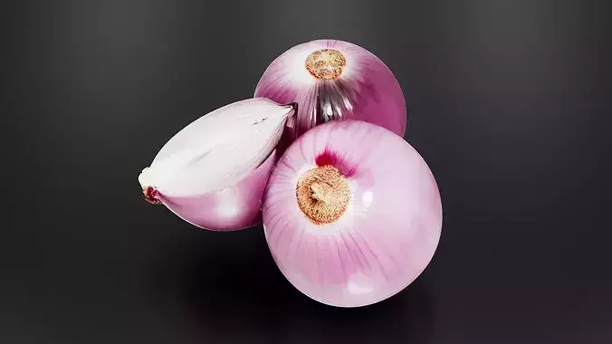 Onion 01 3D print model 3