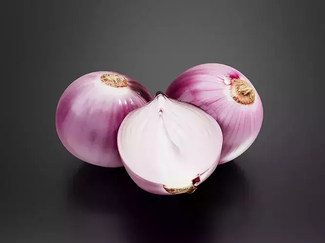 Onion 01 3D print model