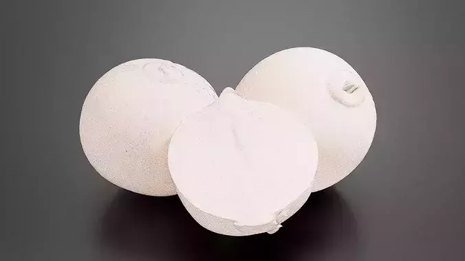 Onion 01 3D print model 7