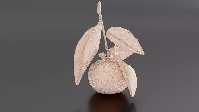 Orange 02 3D print model 7