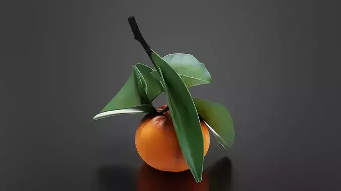 Orange 02 3D print model 5