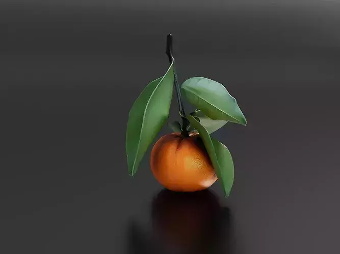 Orange 02 3D print model