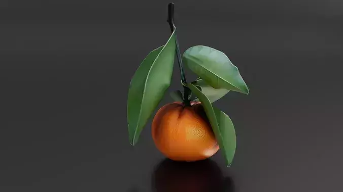Orange 02 3D print model 2