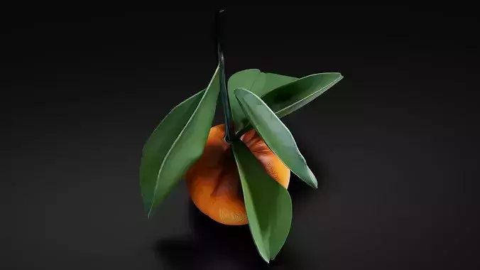 Orange 02 3D print model 6