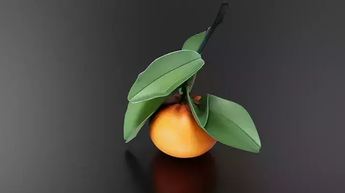 Orange 02 3D print model 4