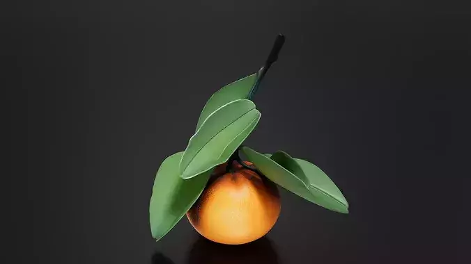 Orange 02 3D print model 3