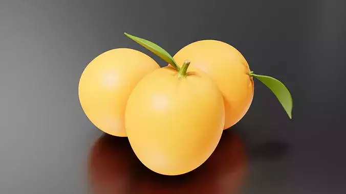 Orange 04 3D print model 4