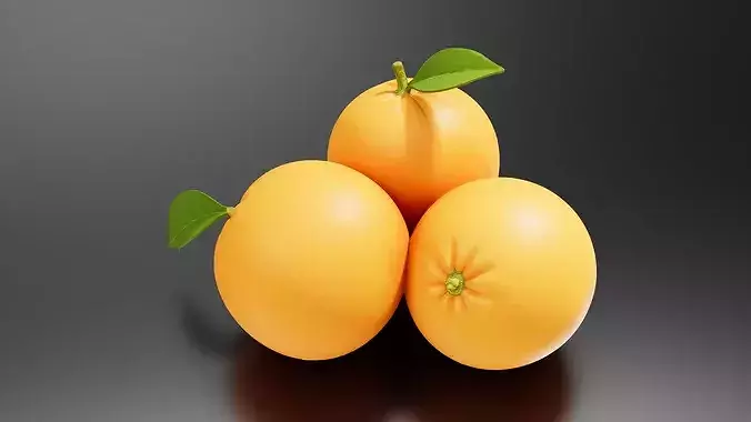 Orange 04 3D print model 2