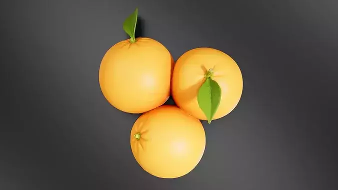 Orange 04 3D print model 6