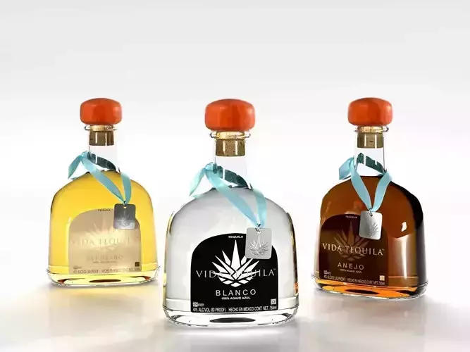 Vida Tequila Bottles 3D model