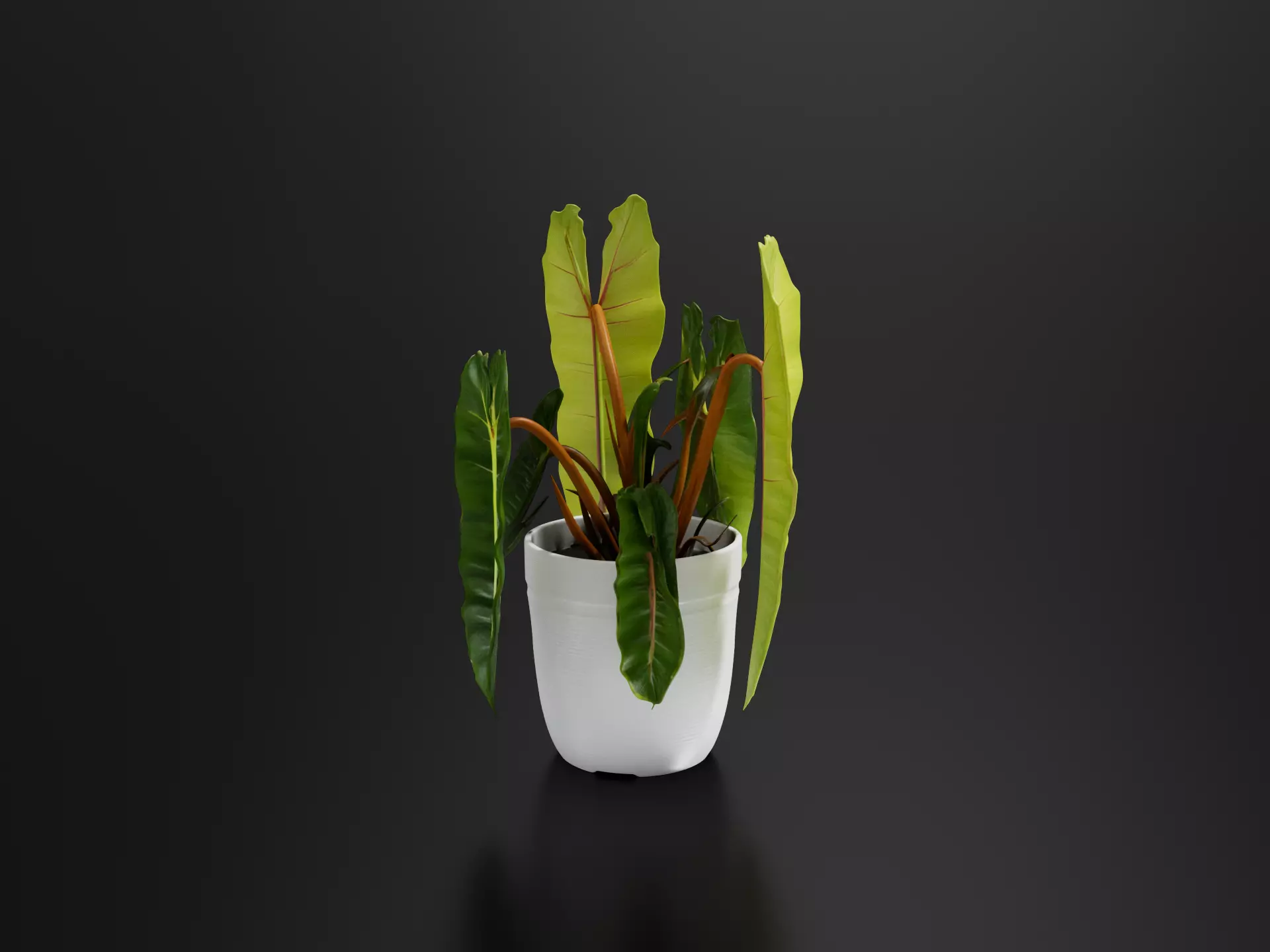 Philodendron billietiae Plant Pot 02 3D print model