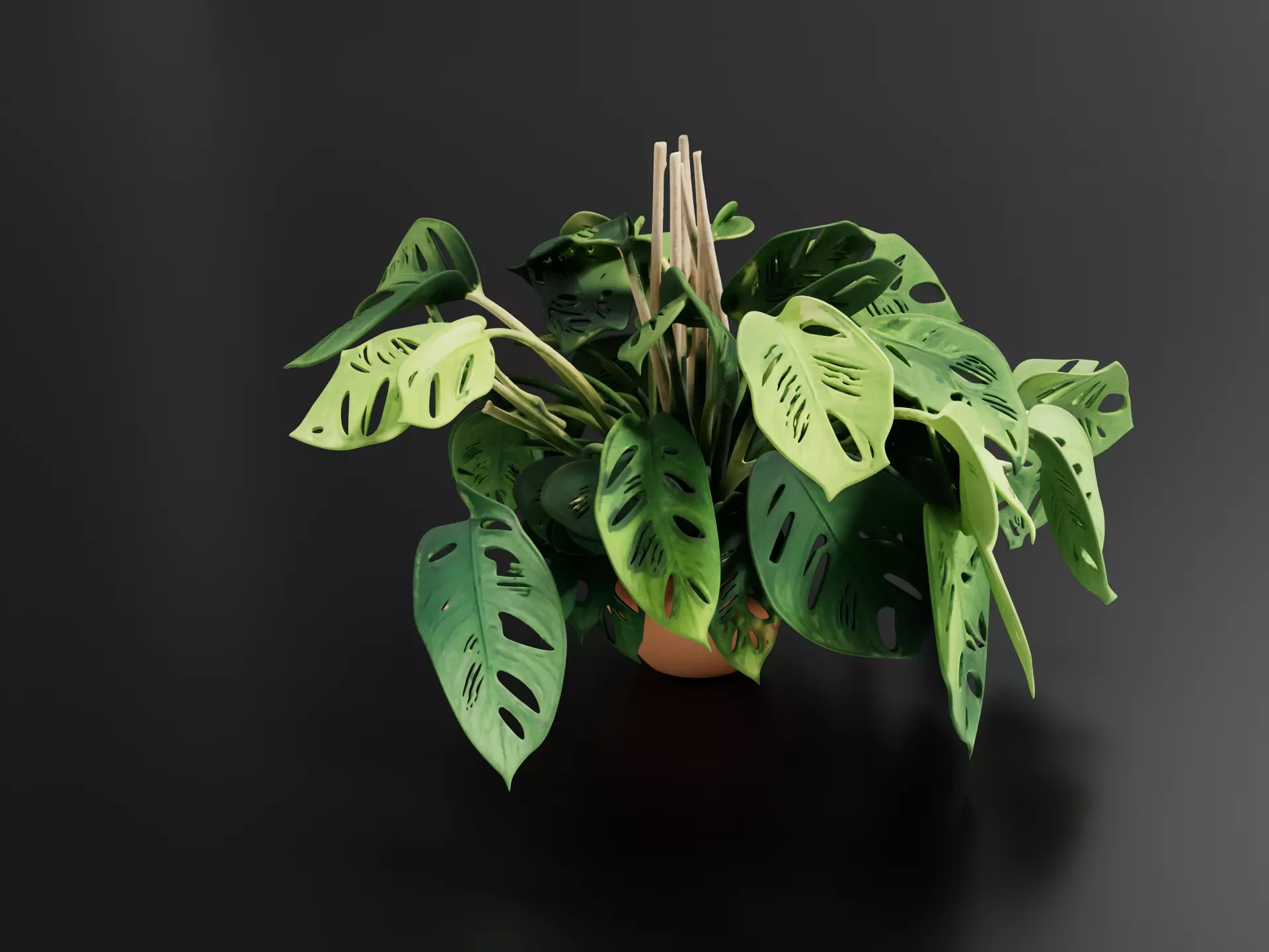 Philodendron Monkey Mask Plant 1 3D print model