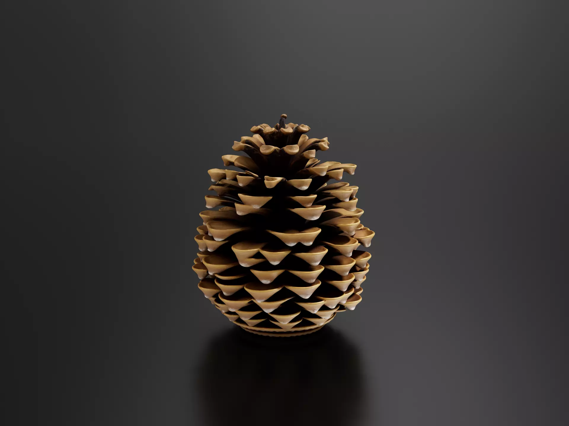 Pine fruit 2 3D print model