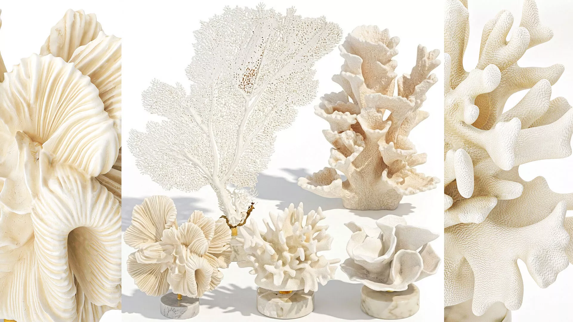 Marine decor figurines white coral fan stand decor set 3D model